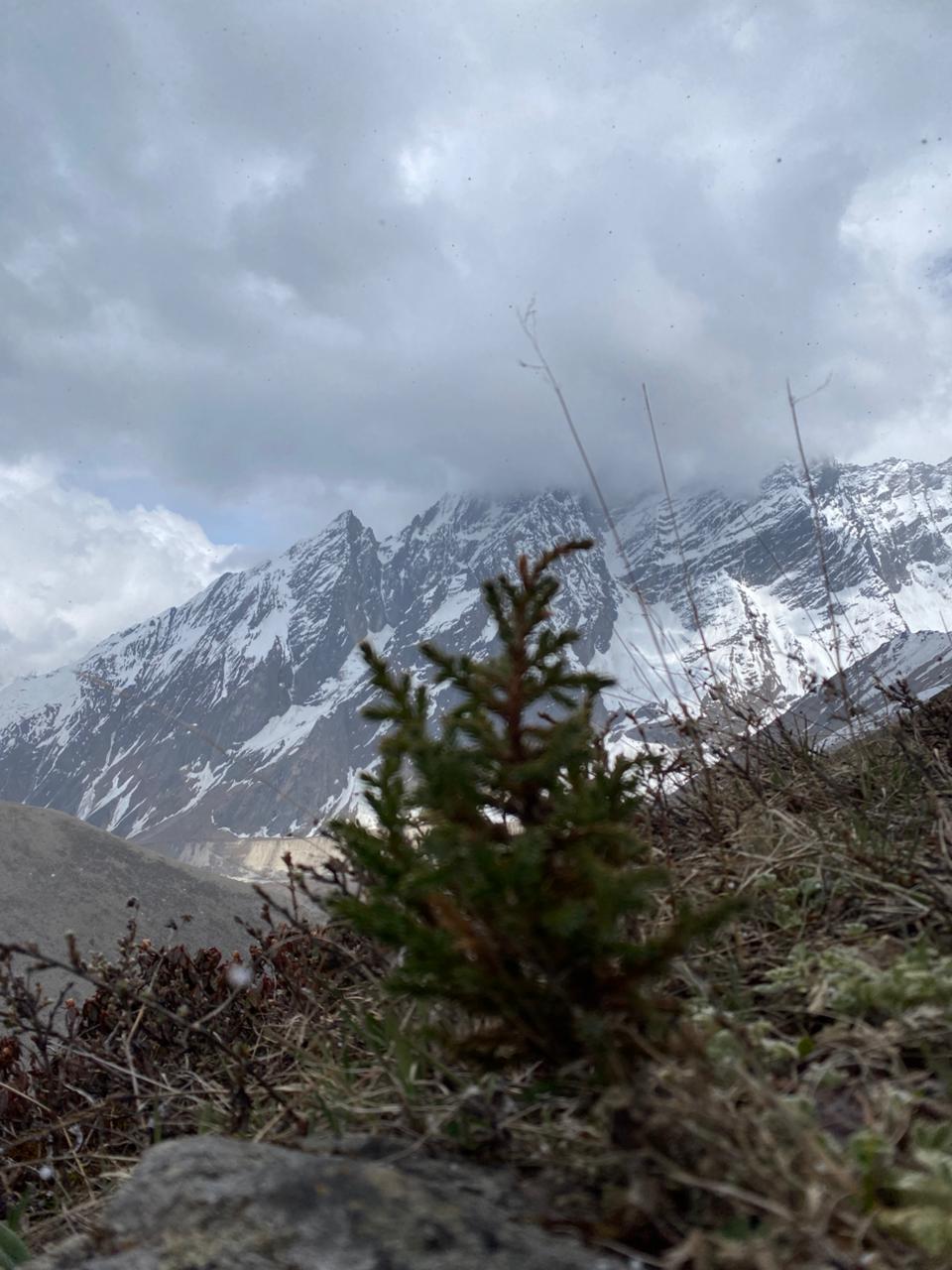 Tsum Valley Trek