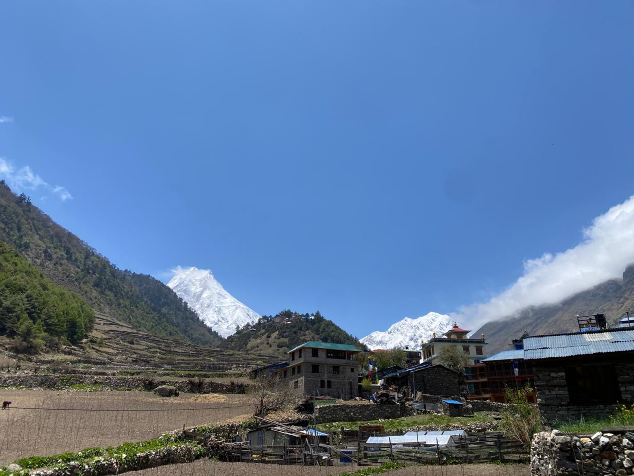 Langtang valley trek with Yala peak summit