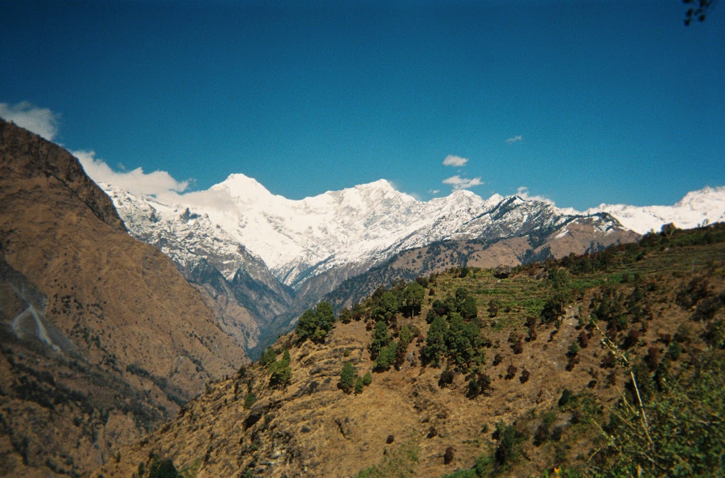 Langtang Valley Trek — photo 5