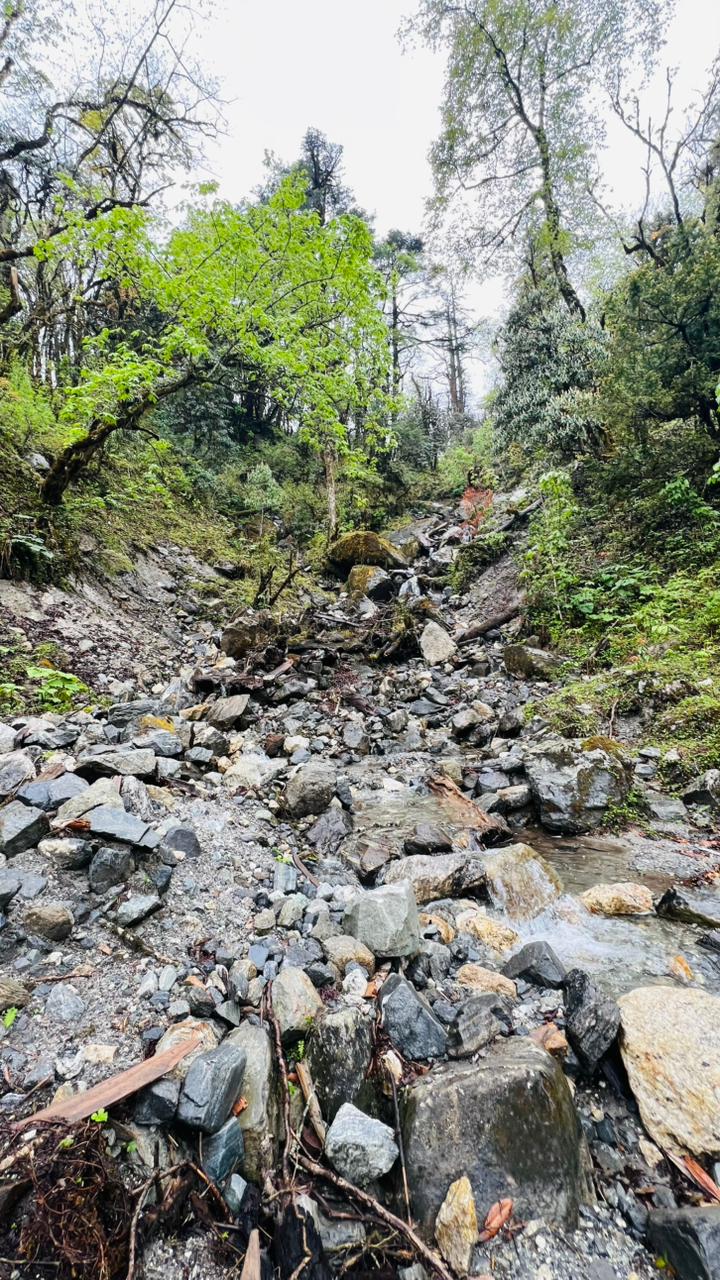 Pikey Peak Trek — photo 1